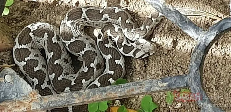 sondakika world haberleri ve yenilikleri