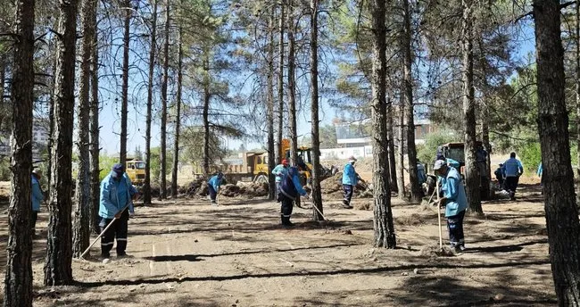 Gaziantep’te ormanlar temizleniyor