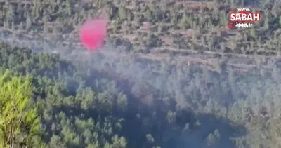 Kudüs’te orman yangını henüz kontrol altına alınamadı | Video