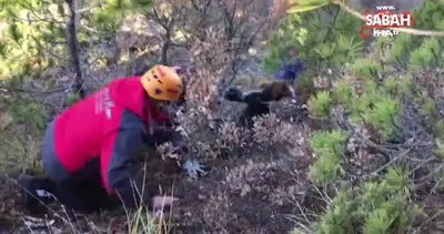 Bursa’da kayalıklarda mahsur kalan köpeği ekipler kurtardı | Video