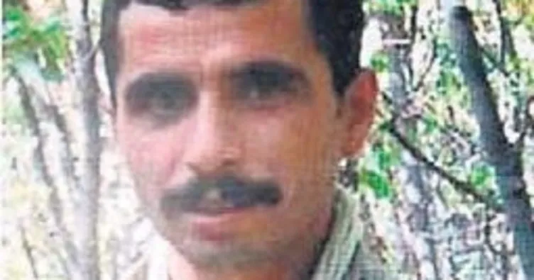 Öldürülen 2 PKK’lı yeşil ve gri listede çıktı