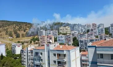 İzmir’de orman yangını: Ekipler havadan ve karadan müdahale ediyor!