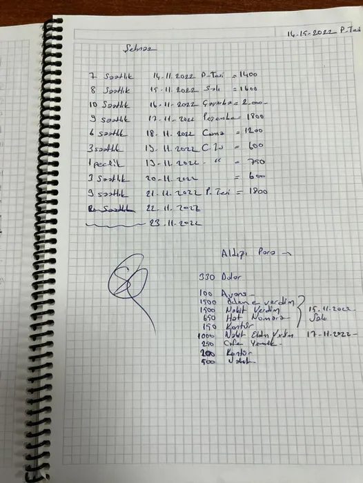 Türkiye’ye tatile gelen Rus jinekolog Oksana’ya fuhuş tuzağı: Her şey Mardin’de başlamış!