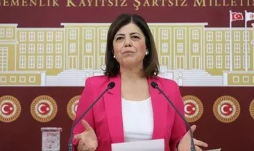 DEM’in İstanbul adayları Beştaş ve Çepni oldu