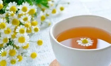 Papatya çayı faydaları nelerdir, nasıl demlenir? Papatya çayı içmenin yararları