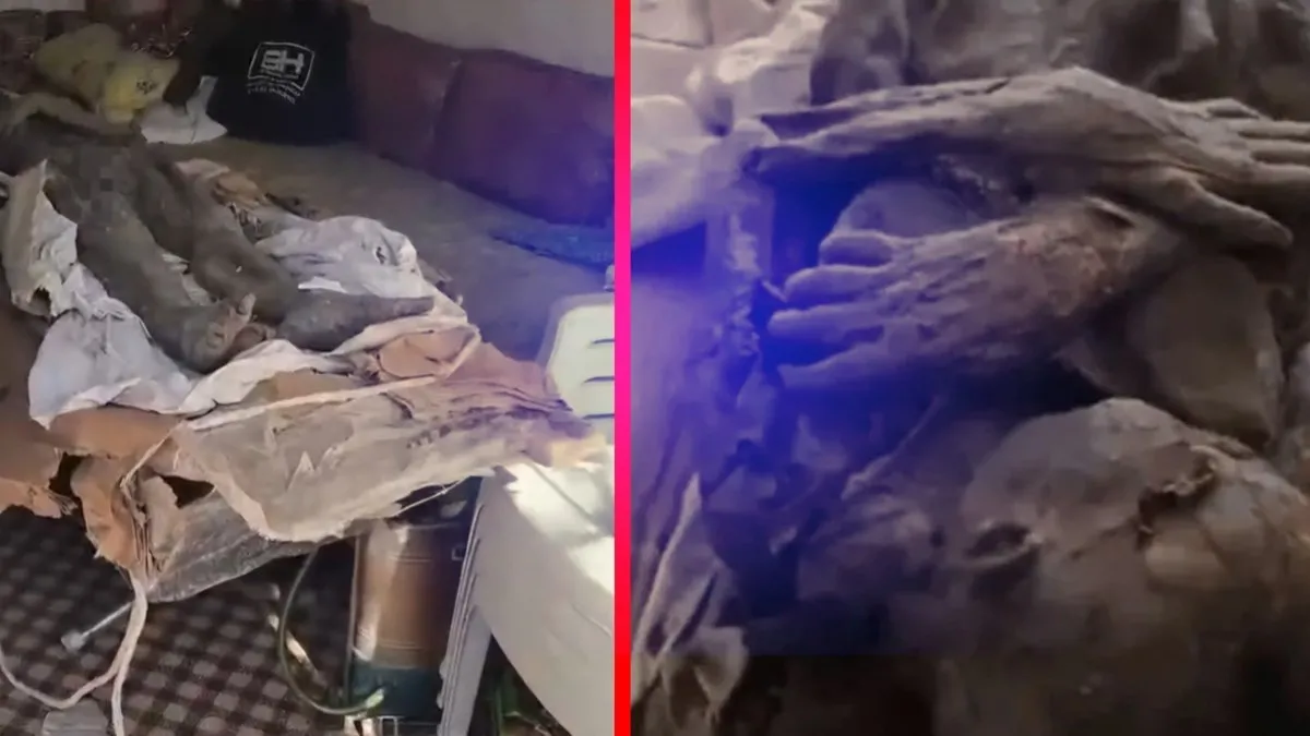 Niğde'de şok baskın! Kaçakçıların satmaya çalıştığı mumya ele geçirildi!