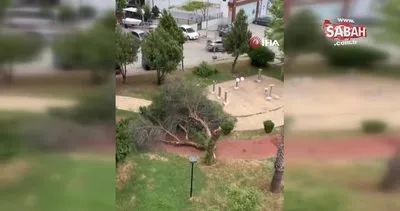 Adana’da kuvvetli rüzgar ağaçları söktü, çatıları uçurdu | Video