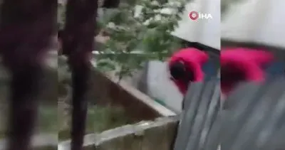 İstanbul Sultangazi’de akılalmaz olay! 2 hırsız binanın duvarına örümcek adam gibi tırmanırken ev sahibiyle karşılaştı ’’Haram haram...’’