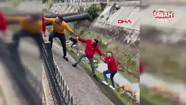 https www sabah com tr video yasam kanala dusen kopek imece usulu kurtarildi video