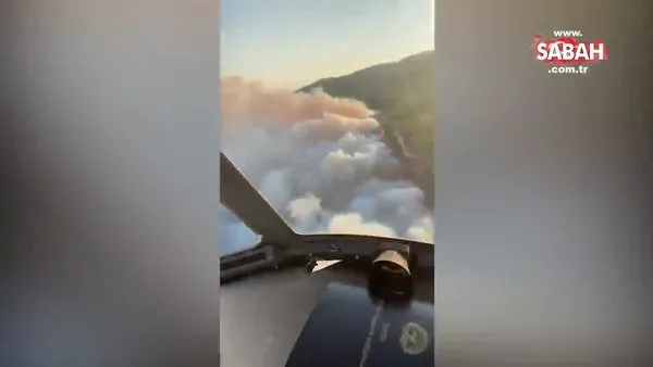 SON DAKİKA: Aydın Söke'de orman yangını! | Video