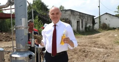 Düzce’de ilk hasat, ilk kekik yağı #duzce
