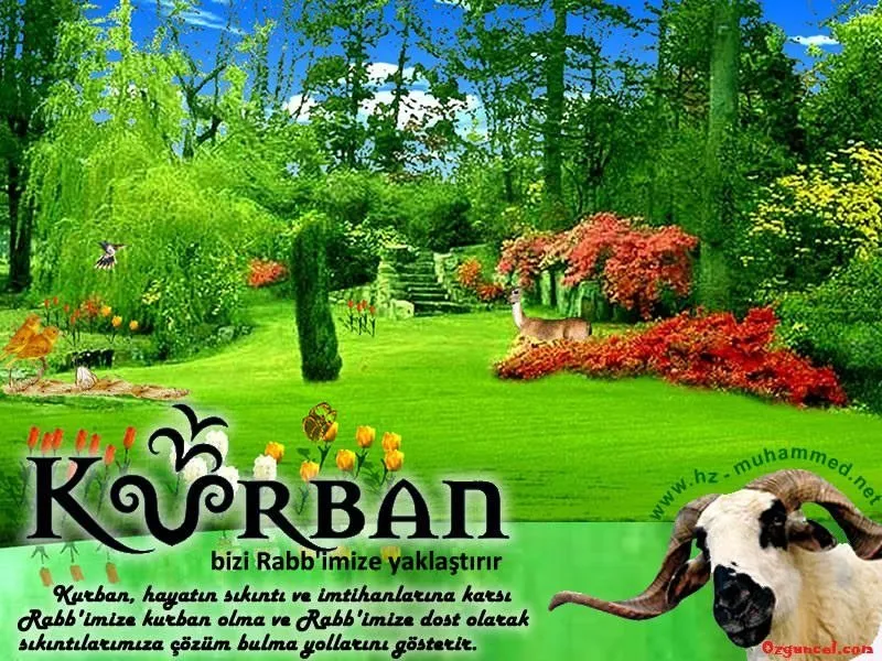 sabah