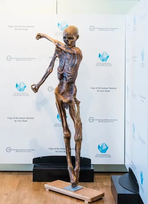 5300 yıllık buzul mumya ile ilgili şoke eden gerçek: Buz Adam Ötzi bakın nereliymiş….