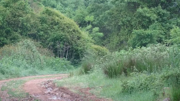 Ekonomist Korhan Berzeg hakkında korkunç şüphe: Kafatası detayı kan dondurdu!
