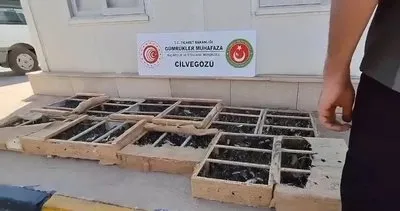 Cilvegözü’nde yasa dışı hayvan ticaretine geçit yok #hatay