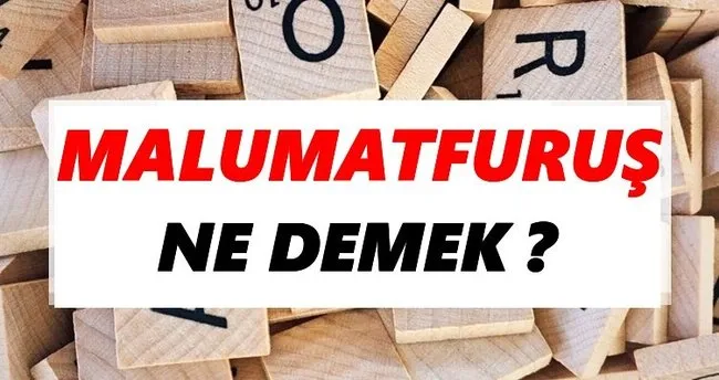 Malumatfuruş Ne Demek? TDK’ya Göre Malumatfuruş Sözlük Anlamı Nedir?