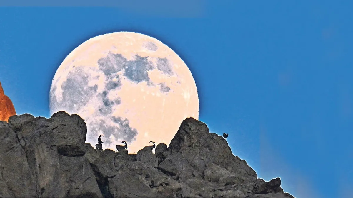 Son süper ay büyüledi