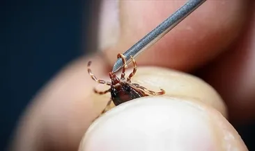 Keneye bir kurban daha