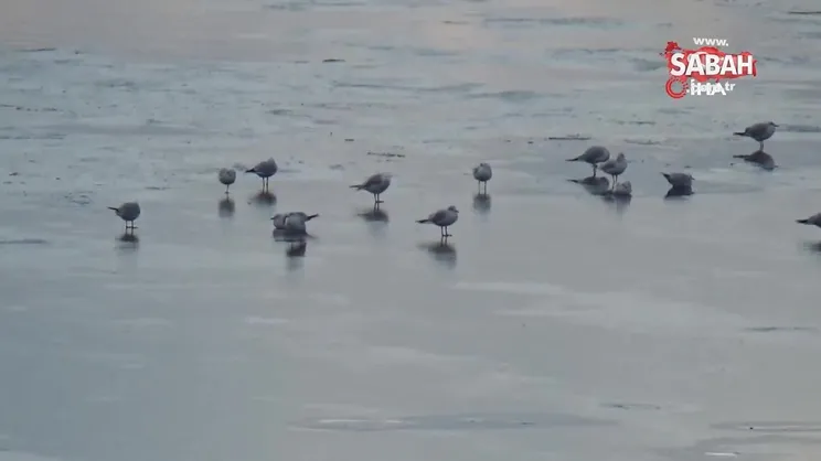 Beyşehir Gölü kıyıları buz tuttu | Video