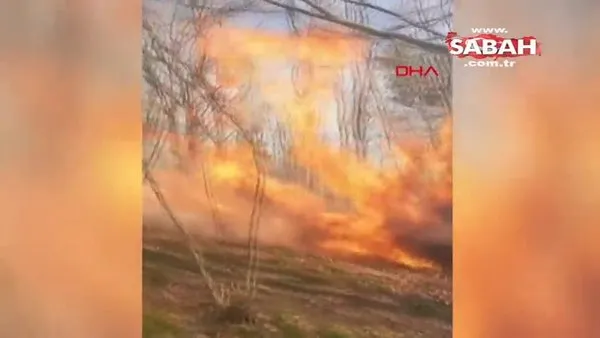 Sakarya'da ormanda yangını! | Video