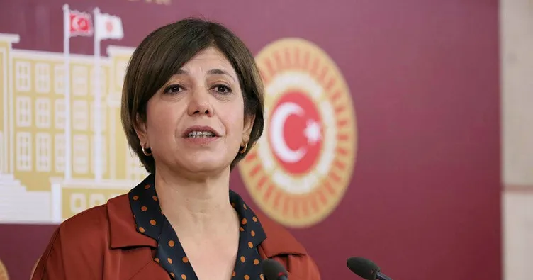 HDP’li Danış Beştaş polise yumruk atan Salihe Aydeniz’i savundu
