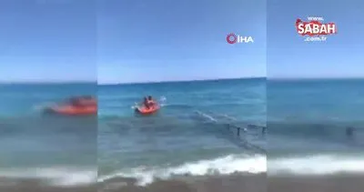 Denizlerin çöpçüsü olarak bilinen 1,5 metrelik boz camgöz köpek balığı kıyıya vurdu | Video