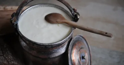 Ev yoğurdunun faydaları nelerdir?