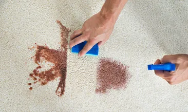 Halıdaki tüm lekeleri tek harekette siliyor! Meğer formülü çok basitmiş...