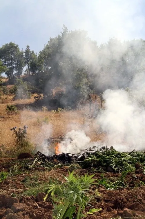 PKK'nın beli kurulduğu ovada büküldü