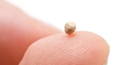 Metabolizma canavarı! İşte metabolizmayı canlandırarak vücutta yağ bırakmayan besinler...