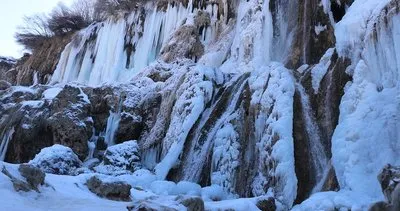 Girlevik Şelalesi dondu, görenler hayran kaldı #erzincan