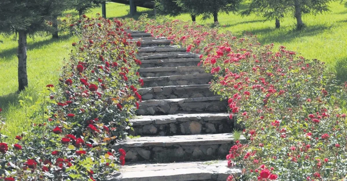 Baskentliler Sera Park A Kavustu Ankara Baskent Haberleri