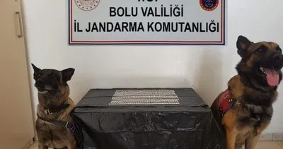 420 adet uyuşturucu hap ele geçirildi 420 adet uyuşturucu hap ele geçirildi