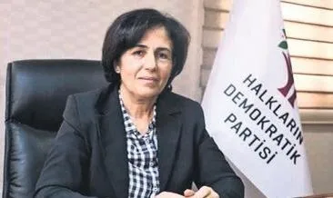 HDP’li eski başkana gözaltı