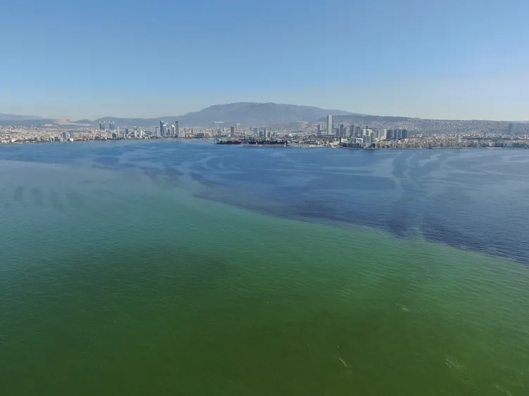 SON DAKİKA... İzmir Körfezi alarm veriyor! Kirlilik nedeniyle tehlikenin boyutu arttı: Binlerce ölü balık kıyıya vurdu!