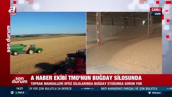 Son Dakika: Türkiye'nin buğday stoğu ne kadar? A Haber ekibi TMO'nun buğday silosunda! | Video