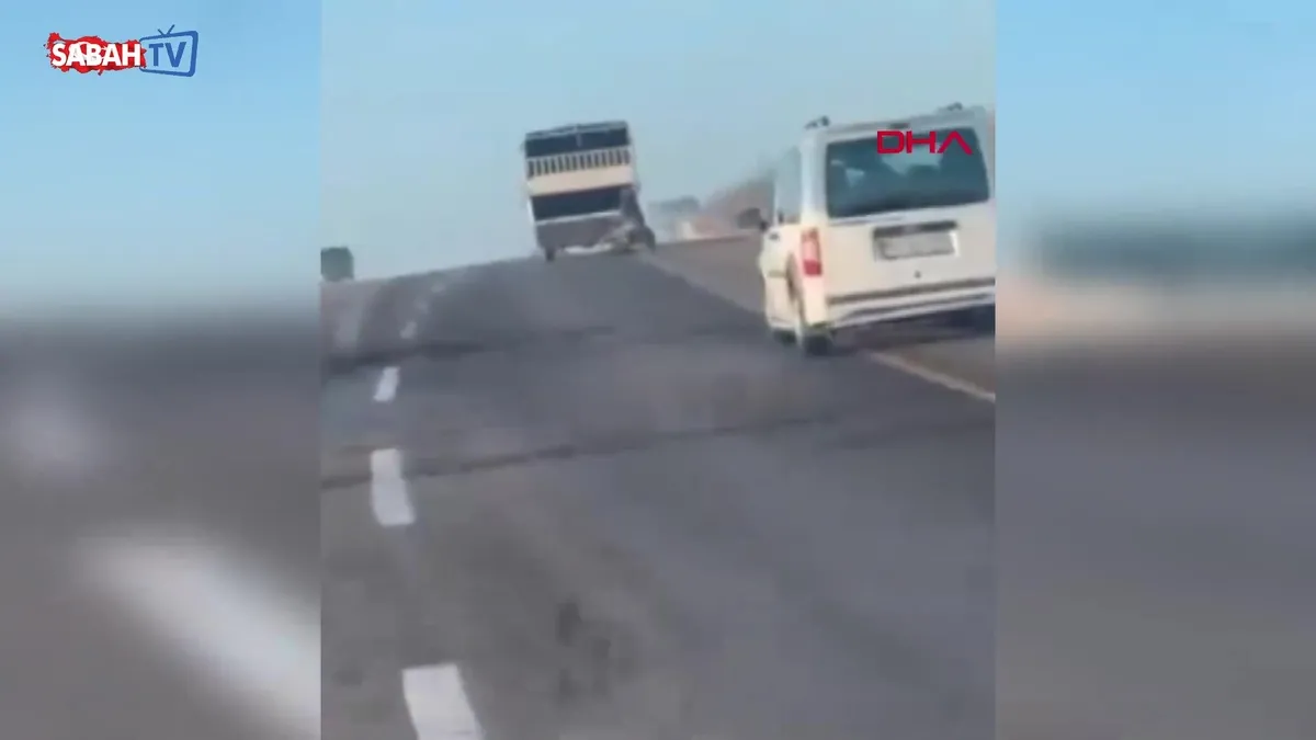 Kamyonetin arkasına bağladığı atı dakikalarca böyle sürükledi! | Video videosunu izle Kamyonetin arkasına bağladığı atı dakikalarca böyle sürükledi! | Video videosunu izle