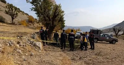 Budadığı ağaç sonu oldu: 75 yaşındaki İbrahim Bozkurt'tan acı haber! #adiyaman