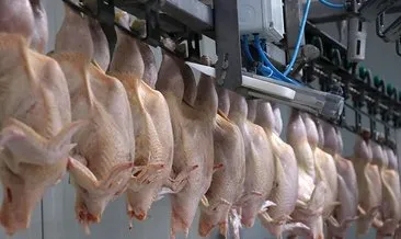 SON DAKİKA: Tavuk etine ihracat kısıtlaması