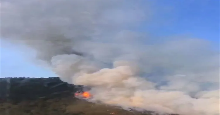 Eskişehir’de orman yangını: Orman Bölge Müdürü ve ekibi alevlerin arasında kaldı