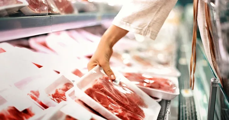 Hayvansal protein yerine geçen besinler