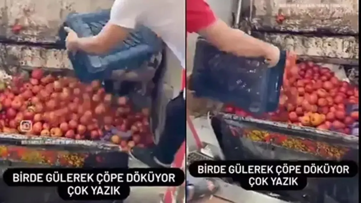 Kasa kasa domatesi çöpe dökmüşlerdi... Ticaret Bakanlığı'ndan o işletmeye ceza ve suç duyurusu