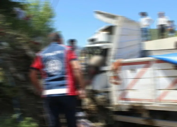 Mardin’de trafik kazası: 4 ölü, 13 yaralı