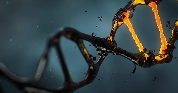 Kanser hücrelerinin DNA’ları ’altının çekim gücüne kapılıyor’