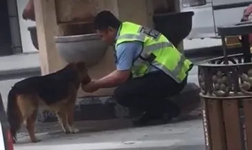 Köpeğe avucundan su içiren polise ne yaptılar?