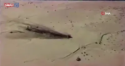 ABD’de F-16C savaş uçağı böyle düştü | Video