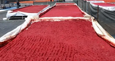 Şanlıurfa’da salça sezonu açıldı