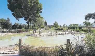 Park ortaya çıkıyor