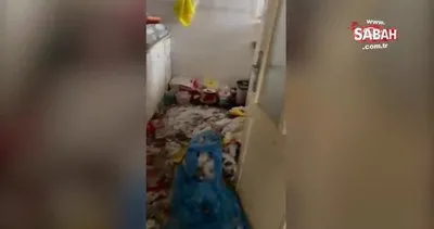 Eyüpsultan’da yürek sızlatan görüntü: 3 çocuk çöp evde terk edilmiş halde bulundu | Video