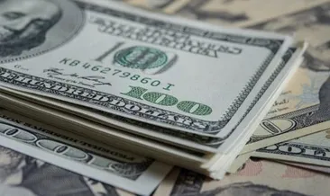 Dolar güne 4.50’nin altına başladı